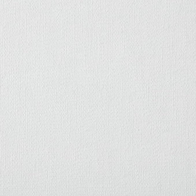 Centurion Deluxe Professional Oil Primed Linen Stretched Canvas, 11oz Linen, 24x30 - Box of 6, 0.67" Deep Canvases, Kiln-Dried Stretchers, Back Stapled, Premium Medium Weight Canvas for Oil Paintings