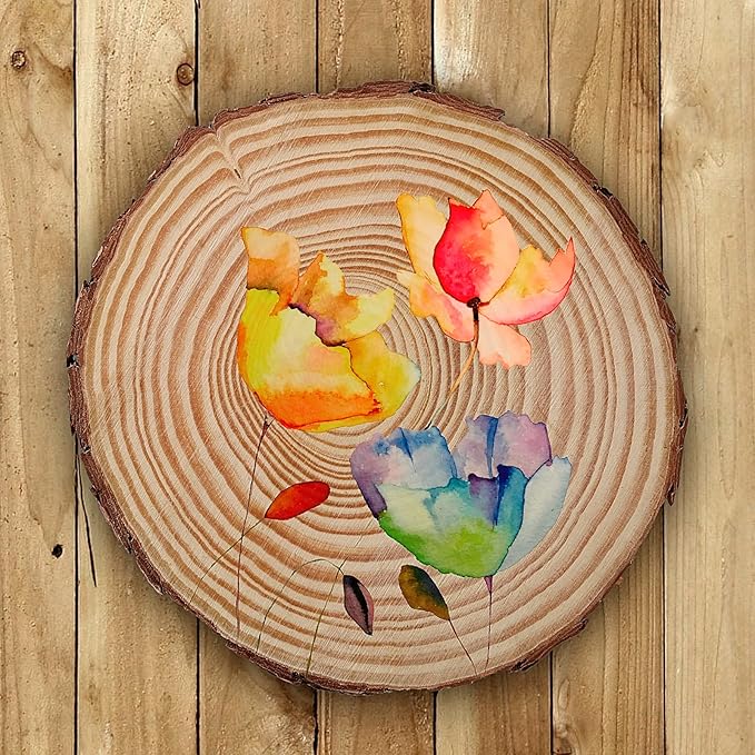 JEUIHAU 10 PCS 6.7-7 Inches Natural Unfinished Wood Slices, Round Wooden Tree Bark Discs, Wooden Circles for DIY Crafts, Christmas, Rustic Wedding Ornaments
