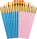 Paint Brushes Set, 20 Pcs Paint Brushes for Acrylic Painting, Oil Watercolor Acrylic Paint Brush, Artist Paintbrushes for Body Face Rock Canvas, Kids Adult Drawing Arts Crafts Supplies, Blue+Pink