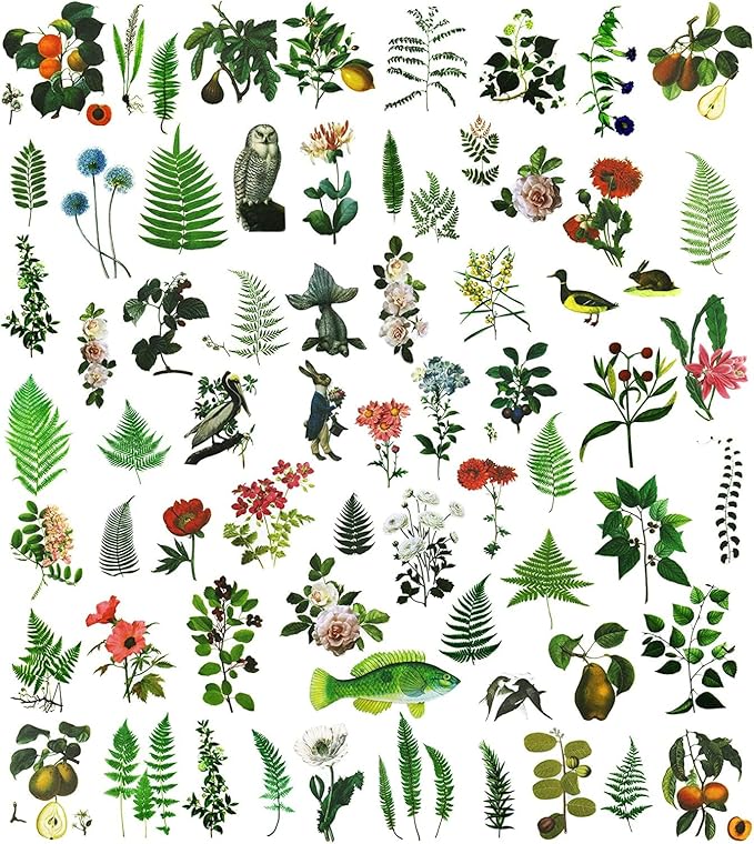 Vintage Vellum Stickers Floral Plants Elements Scrapbooking Supplies Flowers Botanic Natural Translucent Paper Self-Adhesive Junk-Journal Items (Fern)