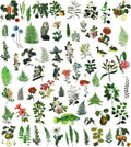 Vintage Vellum Stickers Floral Plants Elements Scrapbooking Supplies Flowers Botanic Natural Translucent Paper Self-Adhesive Junk-Journal Items (Fern)