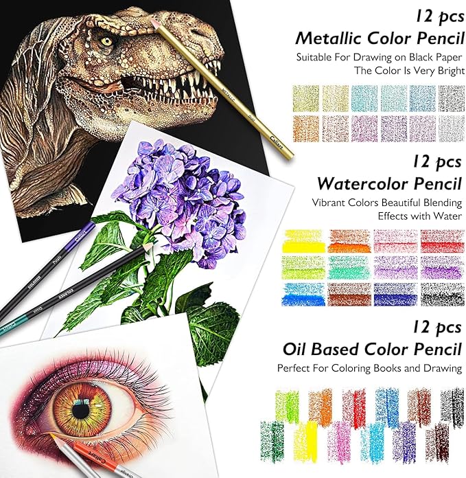 Caliart 176PCS Art Supplies Sketching Kit with 100 Sheets 3-Color Sketch Book, Graphite Colored Charcoal Watercolor & Metallic Pencils, Drawing Supplies Christmas Gifts for Artists Adults Beginners
