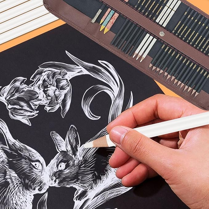 31 Drawing Sketching Pencils Kit, Portable Artist Supples Travel Case Set has Graphite, Charcoal, white color pencil, Blending Stump, gift for Adults Beginners for Drawing Sketch