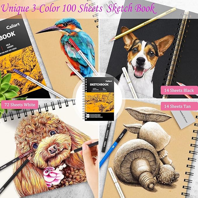 Caliart 176PCS Art Supplies Sketching Kit with 100 Sheets 3-Color Sketch Book, Graphite Colored Charcoal Watercolor & Metallic Pencils, Drawing Supplies Christmas Gifts for Artists Adults Beginners