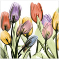 Empire Art Direct Frameless Free Floating Tempered Glass Panel Graphic Wall Art Ready to Hang, 24" x 24", Tulip Scape x-ray I