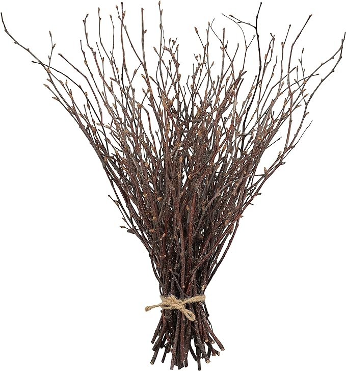 Uieke 200PCS Birch Twigs – 17 Inch Natural Dried Plants Decorative Birch Branches for DIY Crafts, Birch Sticks for Vases Wedding Arrangements Home Wreath Decor