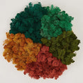 Preserved Reindeer Moss Natural Green DIY Kit Gardenning Art Wall Decor Florist Decor Easter Table Decor Wedding