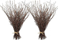 Uieke 100PCS Natural Dried Birch Twigs - 17 Inch Dried Plants Decorative Branches for DIY Crafts, Sticks for Vases Wedding Arrangements Home Wreath Decor