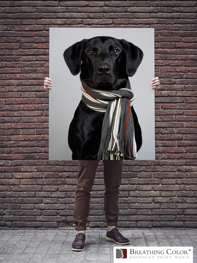 Premium Lyve Matte Canvas Sheets Professionals choice for Archival Inkjet for Use on Epson, Canon and HP printers. 8.5 inch x 11 inch 25 sheets