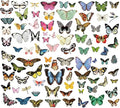 Vintage Vellum Stickers Floral Plants Elements Scrapbooking Supplies Flowers Botanic Natural Translucent Paper Self-Adhesive Junk-Journal Items (Little Butterfly)