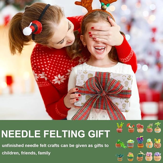 Jevuoyee 15pcs Succulent Needle Felting Kit for Beginners Adult - DIY Starter Kit with Wool Roving, Felting Mat, Needles, Instructions for Home Decoration Crafts
