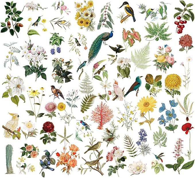 Vintage Vellum Stickers Floral Plants Elements Scrapbooking Supplies Flowers Botanic Natural Translucent Paper Self-Adhesive Junk-Journal Items (Bird Patterns)