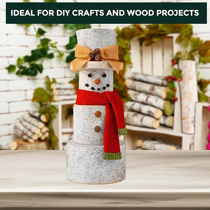 17 Inch Natural Birch Logs - Decorative Dried Birch Wood Logs for Fireplace, Wedding Centerpieces - Unfinished Wood DIY Crafts, & Home Décor - Birch Log Bundle for Indoor Display (8 PCS) (1"-2.5" DIA)
