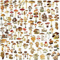 Vintage Vellum Stickers Floral Plants Elements Scrapbooking Supplies Flowers Botanic Natural Translucent Paper Self-Adhesive Junk-Journal Items (Small Mushroom)