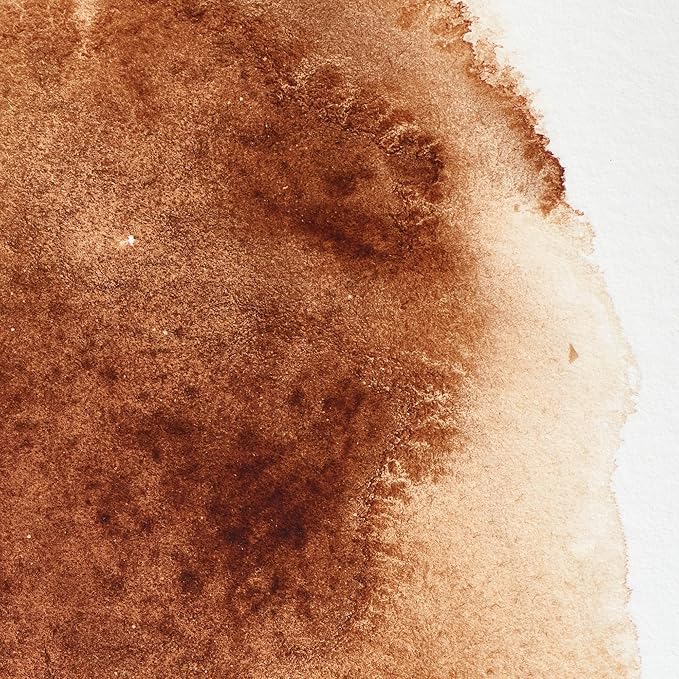 Winsor & Newton Professional Watercolor, 14ml (0.47-oz) Tube, Burnt Umber
