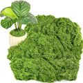 Draupnir Fake Green Moss for Potted Plants, 10.6OZ Fake Moss for Plants Indoor,Faux Moss for Crafts Artificial Moss Decor, DIY Decorative Moss for Fairy Garden Glass Containers Wedding (300g)