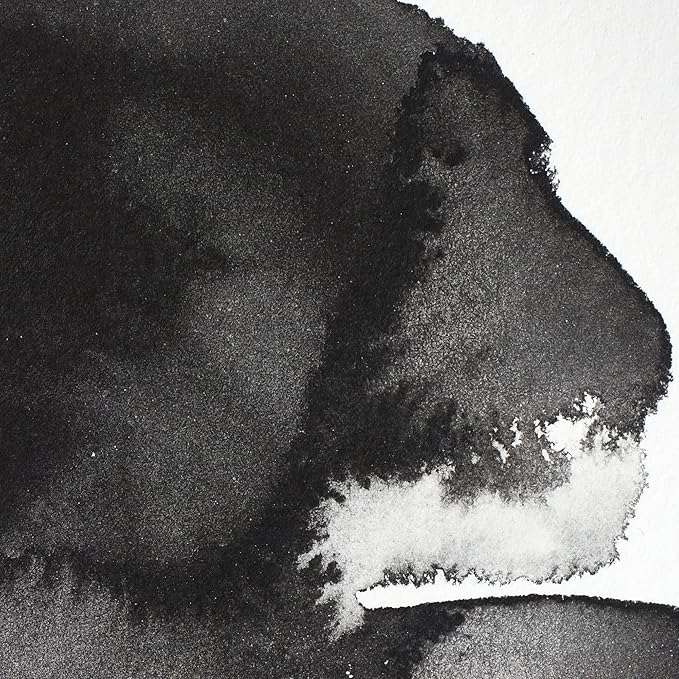 Winsor & Newton Professional Watercolor, Half Pan, Lamp Black