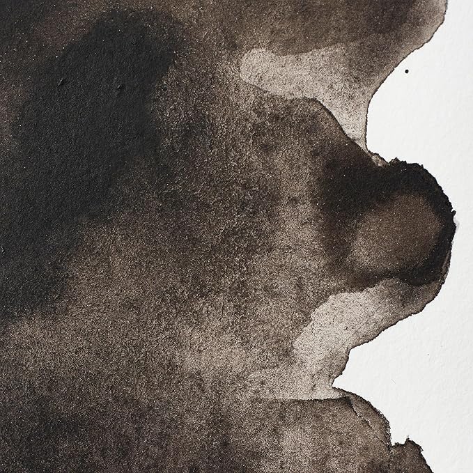 Winsor & Newton Professional Watercolor, Half Pan, Sepia
