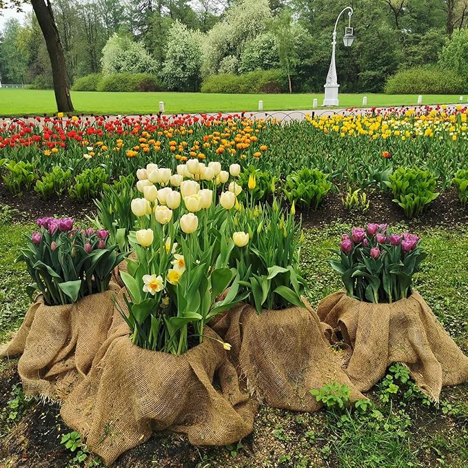 Garden Burlap Roll, 60" x 100 Feet Natural Jute Burlap Fabric Roll for Gardening Raised Bed Liners,Seed Cover,Edging,Weed Barrier,Aisle Runner Plant Cover Tree Protections (60" x 100 Feet)