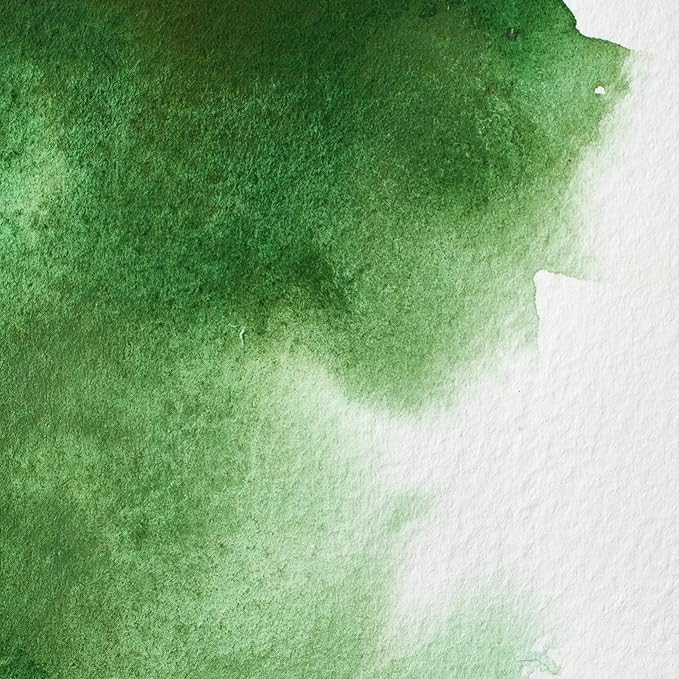Winsor & Newton Professional Watercolor, 5ml (0.17-oz) Tube, Hooker's Green