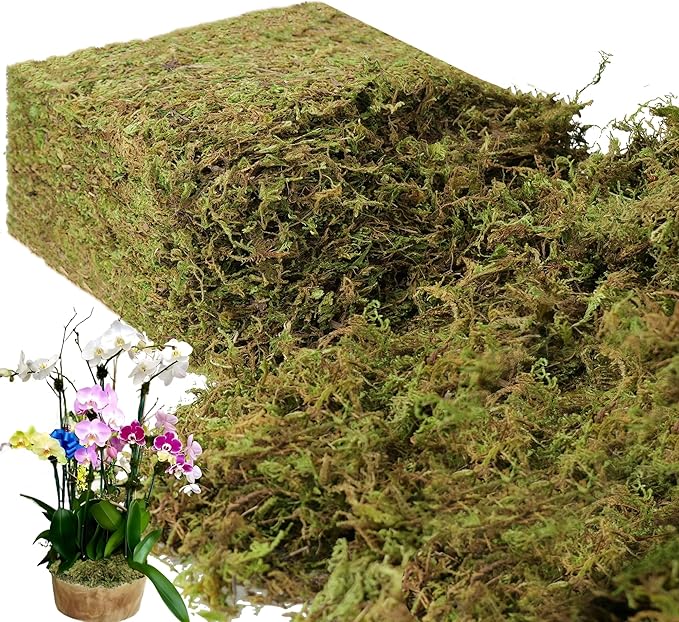 BYHER 35 OZ Large Capacity Fake Moss for Plants Indoor, Fresh Green Moss for Potted Plants Craft Moss for Home & Office Decor Fairy Garden Decoration (Fresh Green - 992gr)